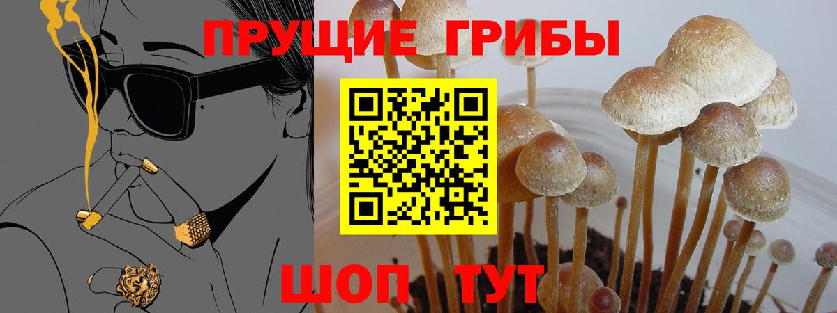 Галлюциногенные грибы Cubensis  Вход с VPN  Хасавюрт 