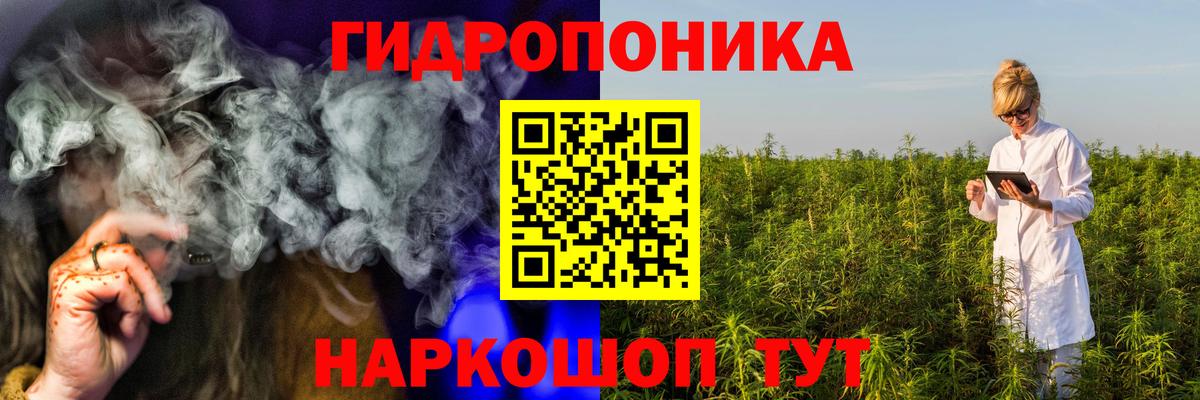 Хасавюрт  Конопля семена  Вход с VPN  Конопля марихуана 